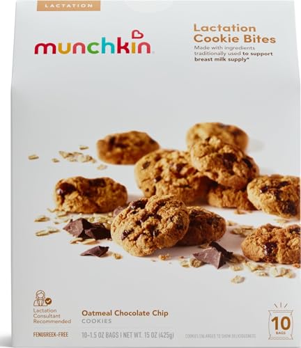 Munchkin Milkmakers Lactation Cookie Bites, Oatmeal Chocolate Chip