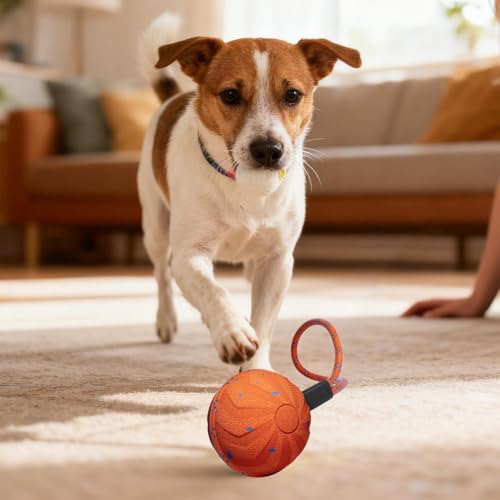 Exercice de stimulation pour l'intérieur et l'extérieur du chien