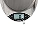 Salter Stainless Steel Electronic Scale (5-Pound)