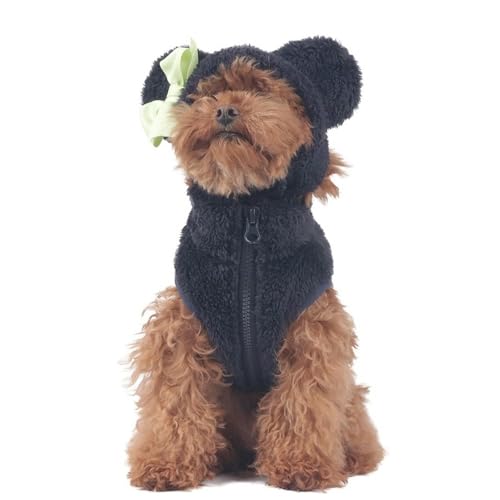 UOSIA efB vbV g WPbg Xq X[c 킢 |  ~ xXg Xq _炩  \    Ȃ  R[g ߑ ` v[h efB