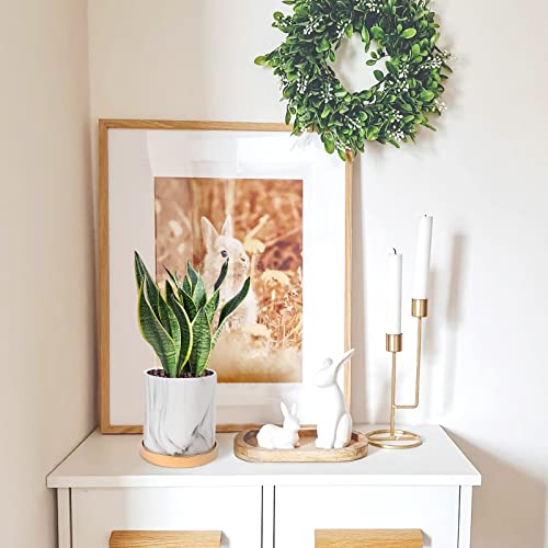 Feiaa Plant Pots Flower Pots 6 Inch Succulent Pot With Holes And Saucer Marble White Planter Container For Home Decoration Indoor Outdoor Modern #TOP1