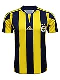 Fenerbahce Trikot blaugelb klassisch Jersey 2015 2016