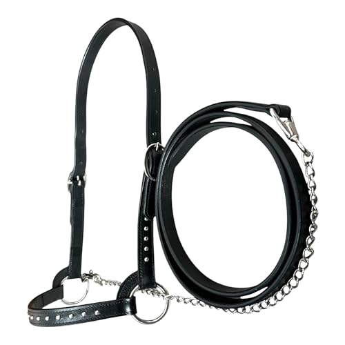 Nylon Rope Shipping Halter w/Lead (Blue)