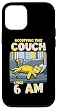 Couch Occupying Cats Kitten Feline Whiskers Purr