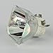 Ushio NSHA230YT / NSHA230Q 230 Watt Original Projector Bare Bulb