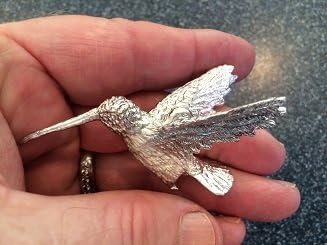 Hummingbird on Barrel Cactus