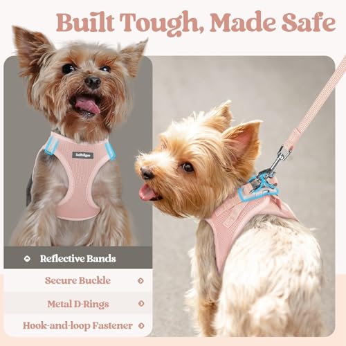 Image of rabbitgoo Dog Harness Small Sized and Leash Set, Step-in Puppy Pet Vest