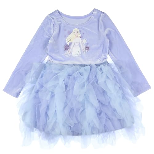 Disney Frozen Toddler Girls' Elsa The Snow Queen Velvet Tiered Tulle Tutu Dress (4T)