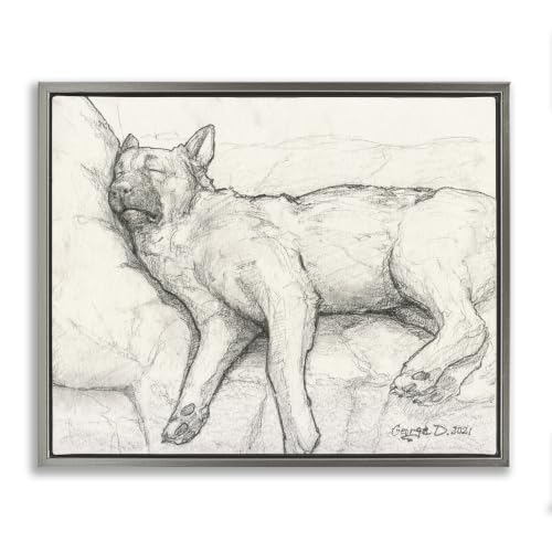 Tired Dog Sleeping Graphite Sketch, 25 x 31 Inch Canvas in Floater Frame