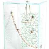 Fukaisu 14pcs Accessoires pour Terrarium Araignée Sauteuse, Balançoire en Corde de Coton F...