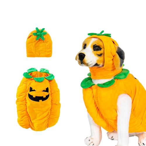Disfraz de Calabaza para Perros Talla M