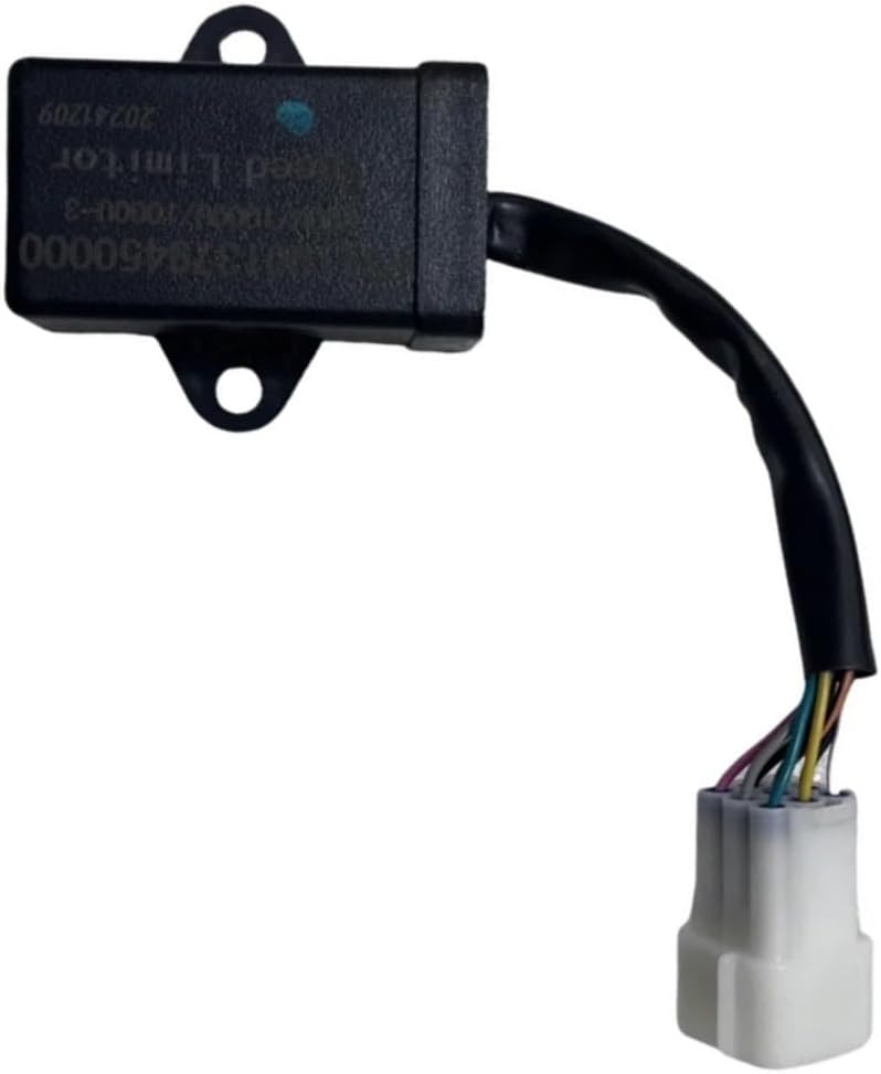 Speed Limiter Fit For HS1000UTV P311001379450000