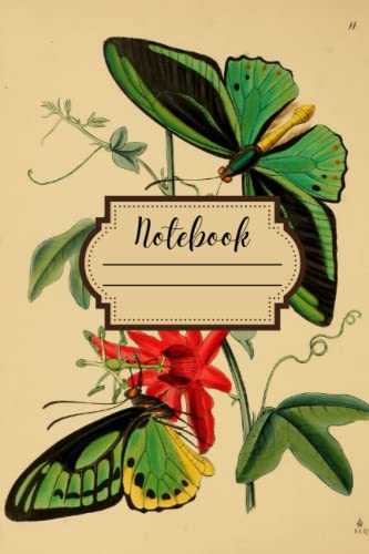 Notebook: Beautiful Vintage Butterfly Illustration Journal. Natural History and Natural Sciences Illustrations image 2