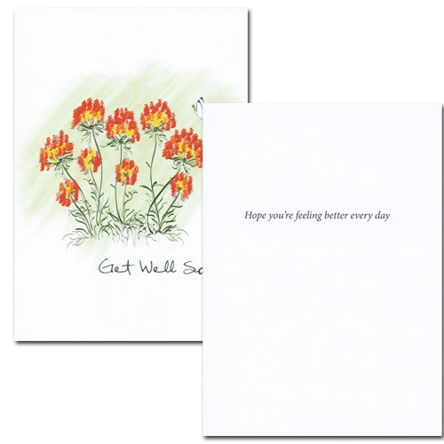 Get Well and Sympathy Card Assortment box of 12 cards & envelopes, 2
