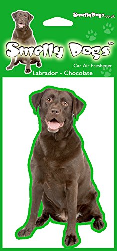 Air Fresheners Labrador Chocolate Lab Dog Lovers Gift - 2 x Delightful Car