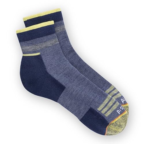 Pistil Men's Socks