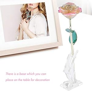 Ejoyous Mothers Day Rose Gift for Mom 24K Gold Dipped Pink White Rose Forever Preserved Rose Flower with Crystal Stand for Valentines Day Christmas Birthday Anniversary
