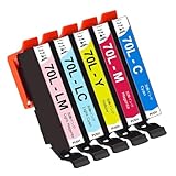 IC6CL70L 5本パック C70 M70 Y70 LC70 LM70 互