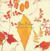 珠玉のピアノ名曲集 ピアノフォルテ CD 10枚セット 中古CD『 PIANO FORTE 珠玉のピアノ名曲集 ピアノフォルテ CD 全