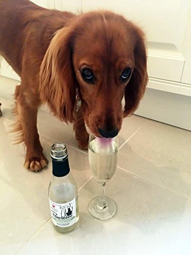 pawsecco amazon