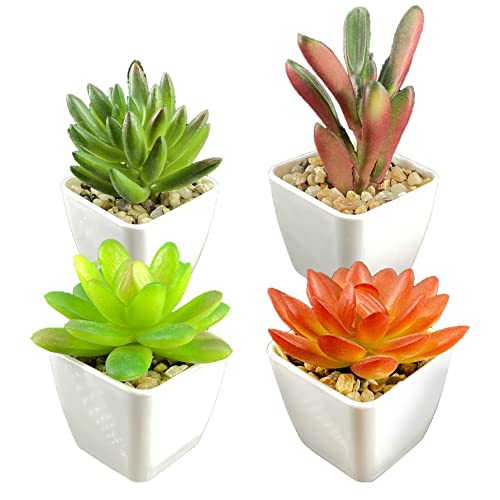 Aiishow Plantes Artificielles Interieur, Lot De 4 Plantes Succulentes Artificielles avec Pots Petits Succulents, pour Mariage La Maison, Le Bureau Et La Décoration Extérieure FBA-43AIS-OU Cover
