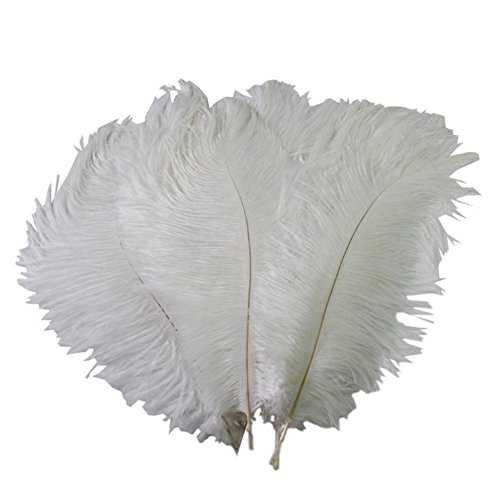 erioctry - Plumas reales de avestruz blancas de 15 a 20 cm para decoración para el hogar, paquete de 50