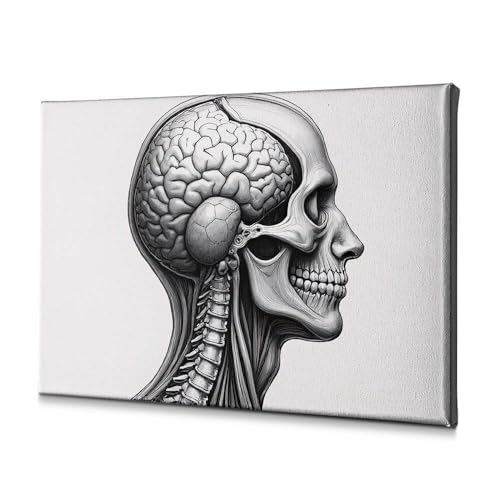 Affiche anatomie tête et cerveau 40x60 cm pour déco murale