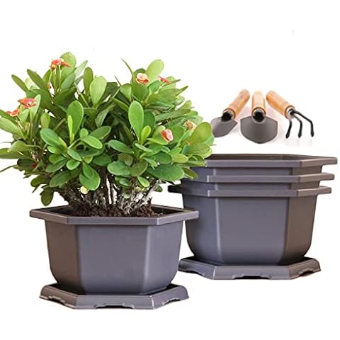 MissFox Bonsai Bowl with Saucer, 4 Pieces 15 cm Flower Pot Plastic with Tray and Mini Garden Tool Set, Bonsai Bowl Hexagonal Plant Pots for Indoor and Outdoor Use Cover
