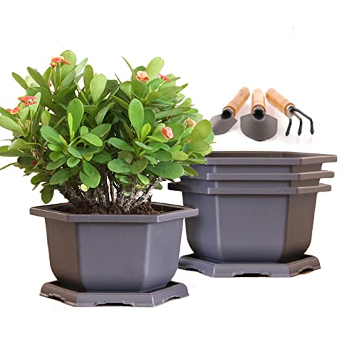 MissFox Lot de 4 bols à bonsaï avec dessous de verre - 25 cm - En plastique - Avec plateau et mini outils de jardin - Pour l'intérieur et l'extérieur