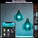 Philips Hue Starter Kit: Bridge Pro + 4 A19 E26 Smart Bulbs, White & Color Ambiance, Dimmable, Smart Light Hub, Works with Apple Home, Alexa, Google, Samsung SmartThings