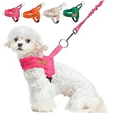 BEAUTYZOO Dog Harness for Small Dogs, No Pull Dog Harness and Leash Set, Soft Escape Proof Puppy Vest Harness with Handle, Reflective Lightweight Step in Harness for Girl Boy Dogs, Pink S