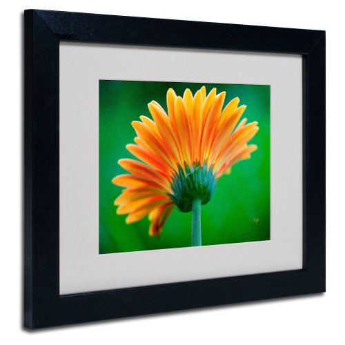Trademark Fine Art Orange Burst Matted Framed Art by Lois Bryan with Black Frame, 11 by 14-Inch