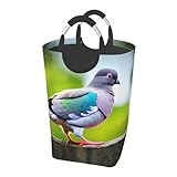 Panier à linge de grande taille : mesurant 11 × 12,6 × 22,7 cm (capacité de 50 litres), ce grand panier à linge imprimé pigeon 3 offre un grand espace de rangement tout en s'adaptant parfaitement à la plupart des coins (pas d'occupation excessive du sol dans les petites pièces).