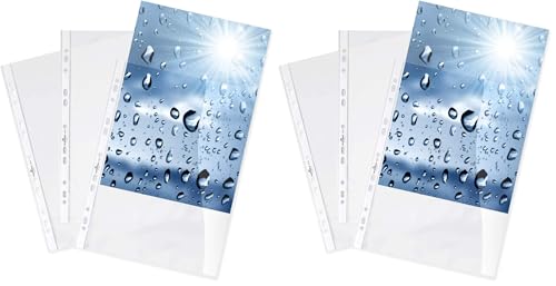 Fundas multitaladro PREMIUM A4 crystal clear pp Durable 267619 fuertes
