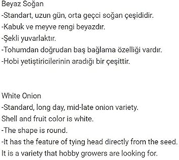 Yerlİ DoĞal Beyaz SoĞan 500 Adet Tohum