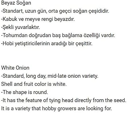 Yerlİ DoĞal Beyaz SoĞan 500 Adet Tohum