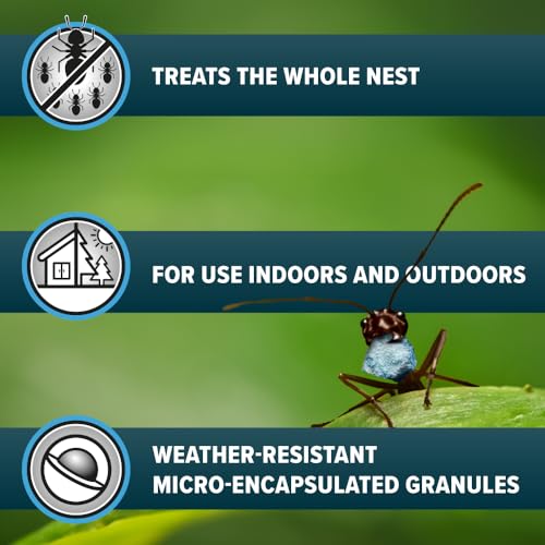 NOPE! Ant Killer Bait Powder 500g for Indoors and Outdoors | Targeted Ant Nest Killer for Mess-Free Elimination | Micro-Encapsulated Delayed-Action Blue Bait Targets Every Stage of Ant Lifecycle