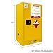 40 Gallon Flammable Safety Storage Cabinet, 21
