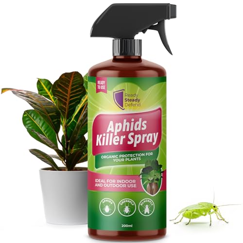 Aphids Killer Spray 200ml – Insecticidal Soap Spray for Plants – Kills Greenfly, Blackfly, Whiteflies, Fungus Gnats and Other Pests – Ideal for Indoor & Outdoor Use on Fruits, Vegetables and Flowers