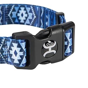 Hooey Nomad Dog Collar, Durable Polyester Webbing Collar with Graphic-Inspired Prints, Ombre Aztec, Medium Hooey Nomad Dog Collar, Durable Polyester Webbing Collar with Graphic-Inspired Prints, Ombre Aztec, Medium