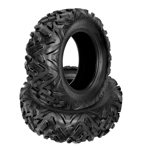 Heavy Duty 6PR 25x8x12 ATV Tires, Set of 2, Tubeless Four Wheeler & Mud Trail UTV Tires, All-Terrain Quad Tires for Sand, Rock & Gravel, Puncture Resistant, Fits 12' Rims