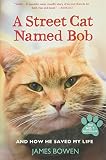 A Street Cat Named Bob: And How He Saved My Life