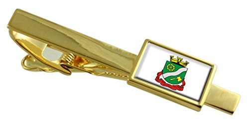 Pisacorbatas de Brusque personalizado, clip para corbata de Santa Catarina oro
