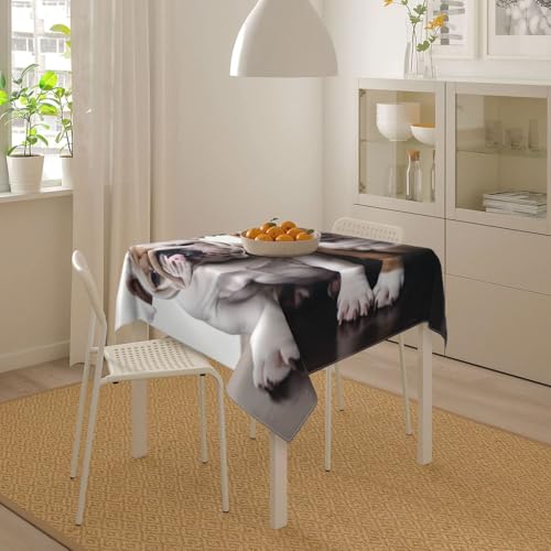 Nappe lavable et infroissable en lot de 2 pour protéger efficacement la table de cuisine