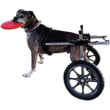 Dog Wheelchair Adjustable, Lightweight, Vet-Approved Design Rear Support Mobility Aid for Dogs 50-69 lbs | Large Size