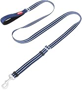 Amazon.com: Tacwild Collar reflectante ajustable para perro ...