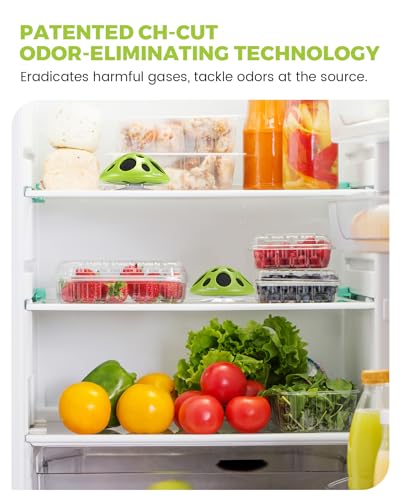 Purriko Fridge Deodorizer,Last up to 10 Years,Refrigerator Odor Eliminator,Fridge Smell Eliminator,More Effective than Baking Soda and Bamboo Charcoal Air Purifying Bags,Green