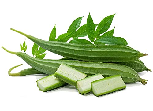 Ridged Sponge Gourd Seeds Asian Okra Angled Luffa Gourd Vegetable 30 Seeds #TOP1