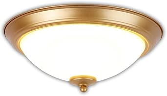 Country Retro Ceiling Lighting Warm Light LED Energy Saving Lamp High Transmission Glass ShadeSmall