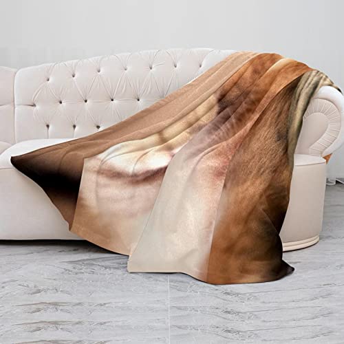 Couvertures chaudes et douces en microfibre TBOUOBT pour canapé